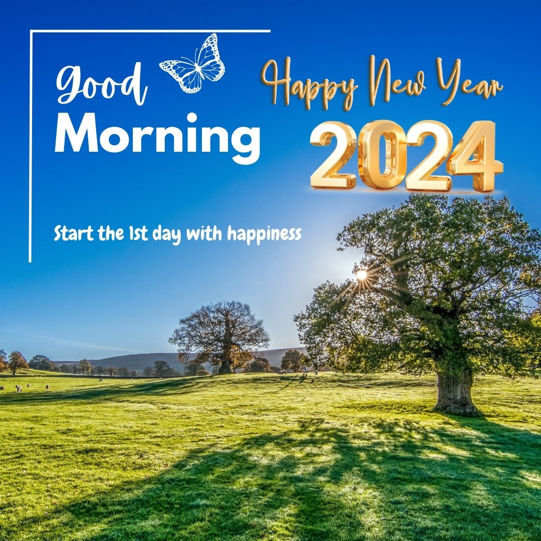 Blue Modern sun rise Good Morning happy new year 2024 ^ start the 1st day with happiness
